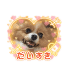 クゥの日常生活（個別スタンプ：4）