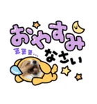 クゥの日常生活（個別スタンプ：6）