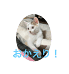 ごまこの日常2（個別スタンプ：2）