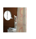 ごまこの日常2（個別スタンプ：3）