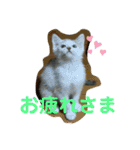 ごまこの日常2（個別スタンプ：5）