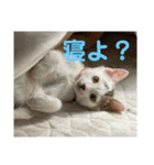 ごまこの日常2（個別スタンプ：6）
