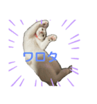 ごまこの日常2（個別スタンプ：23）