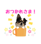 もふもふのおともだち①（個別スタンプ：5）