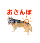 もふもふのおともだち①（個別スタンプ：22）