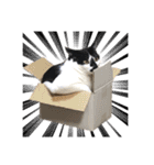 もふもふのおともだち①（個別スタンプ：30）