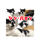 もふもふのおともだち①（個別スタンプ：32）