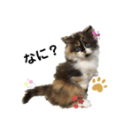 Mokittyファミリー（個別スタンプ：3）