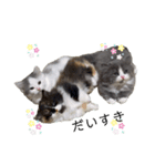 Mokittyファミリー（個別スタンプ：8）