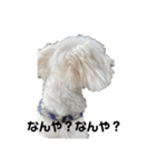 リイシューちゃん③（個別スタンプ：3）