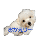 リイシューちゃん③（個別スタンプ：5）
