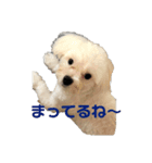 リイシューちゃん③（個別スタンプ：13）
