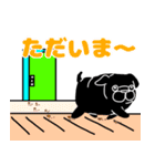 毎日使える黒パグちゃん（個別スタンプ：16）