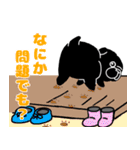 毎日使える黒パグちゃん（個別スタンプ：17）