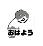 大人のトンちゃん（個別スタンプ：3）