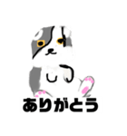 大人のトンちゃん（個別スタンプ：5）