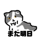 大人のトンちゃん（個別スタンプ：6）