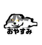 大人のトンちゃん（個別スタンプ：7）
