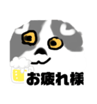 大人のトンちゃん（個別スタンプ：8）