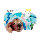 犬づくし（個別スタンプ：3）