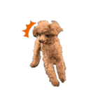 犬づくし（個別スタンプ：4）