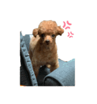 犬づくし（個別スタンプ：6）