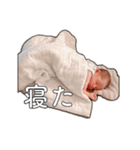 れんくんスタンプ①2021.04.15（個別スタンプ：28）