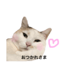 まろめめびびれおちゃん（個別スタンプ：7）