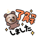わんちゃんの日常使いスタンプ（個別スタンプ：5）