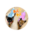 ゆずとあずき❶（個別スタンプ：16）