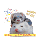 【フェレット】チョコミントPart2（個別スタンプ：38）