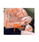 誰得、ウチの子だ（個別スタンプ：8）