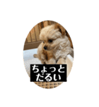 Robくん！（個別スタンプ：5）