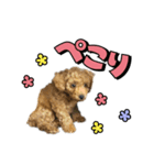 buntastamp（個別スタンプ：1）