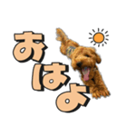 buntastamp（個別スタンプ：2）