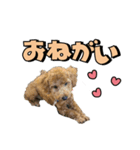 buntastamp（個別スタンプ：3）