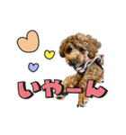 buntastamp（個別スタンプ：4）