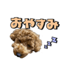 buntastamp（個別スタンプ：5）