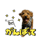 buntastamp（個別スタンプ：7）