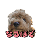 buntastamp（個別スタンプ：10）