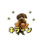 buntastamp（個別スタンプ：11）