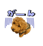 buntastamp（個別スタンプ：15）