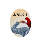赤黒ローリーs 1（個別スタンプ：15）