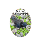 赤黒ローリーs 1（個別スタンプ：21）