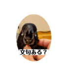 赤黒ローリーs 1（個別スタンプ：23）