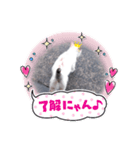 にゃん・子ちゃん（個別スタンプ：8）