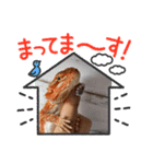 フトアゴヒゲトカゲ♡のいる暮らし（個別スタンプ：5）