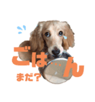 らぶぞぅ友達（個別スタンプ：4）
