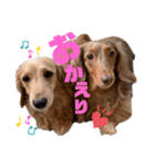 らぶぞぅ友達（個別スタンプ：5）