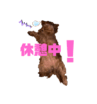 らぶぞぅg（個別スタンプ：3）